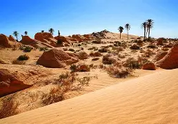 沙巴体育-包含撒哈拉以北：突尼斯击败黎凡特，傲视群雄，晋级八强的词条